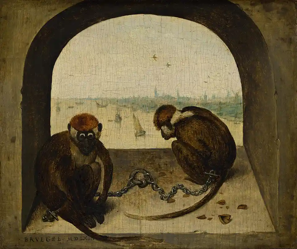 Two monkeys Two monkeys